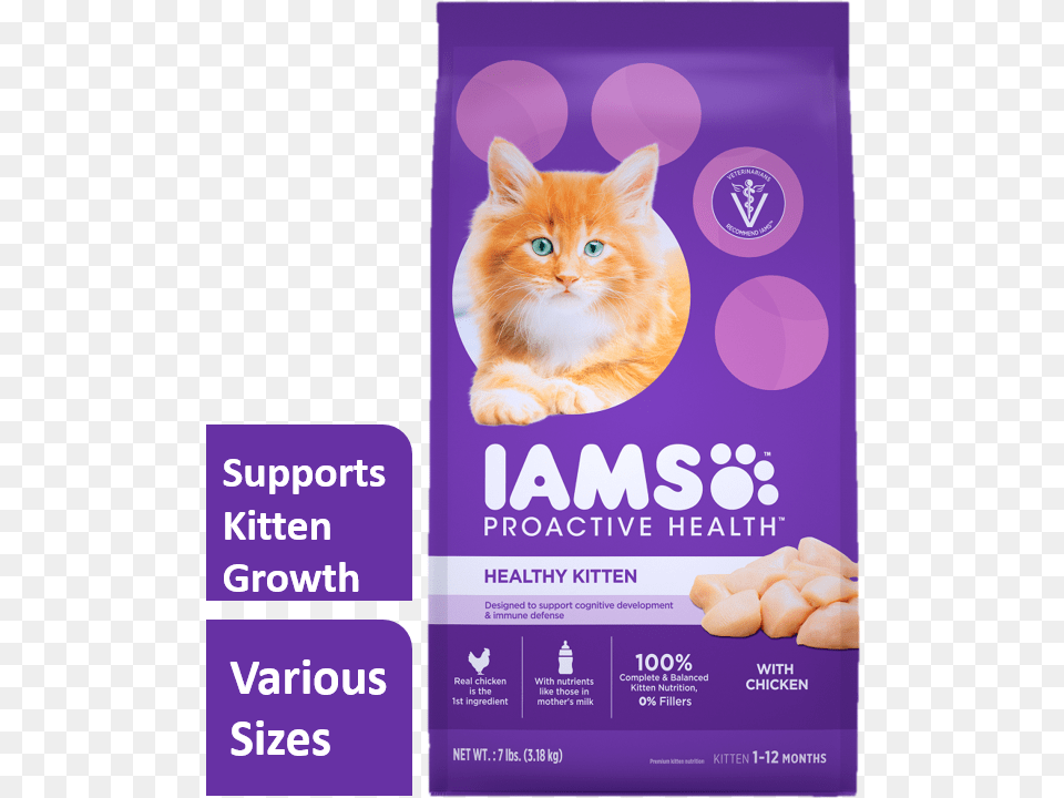 This Alt Value Should Not Be Empty If You Assign Primary Iams Kitten Food, Advertisement, Poster, Animal, Cat Free Transparent Png