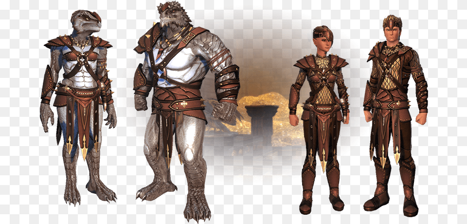 This And Neverwinter Models But You Can Clearly See Dragonborn Neverwinter, Adult, Bride, Female, Male Png