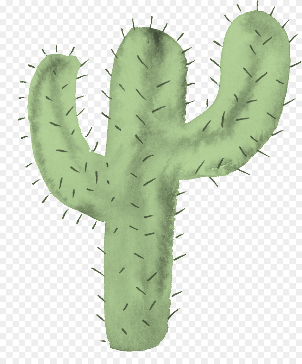 This Backgrounds Is Sturdy Cactus Cartoon Cactus Background, Plant Png