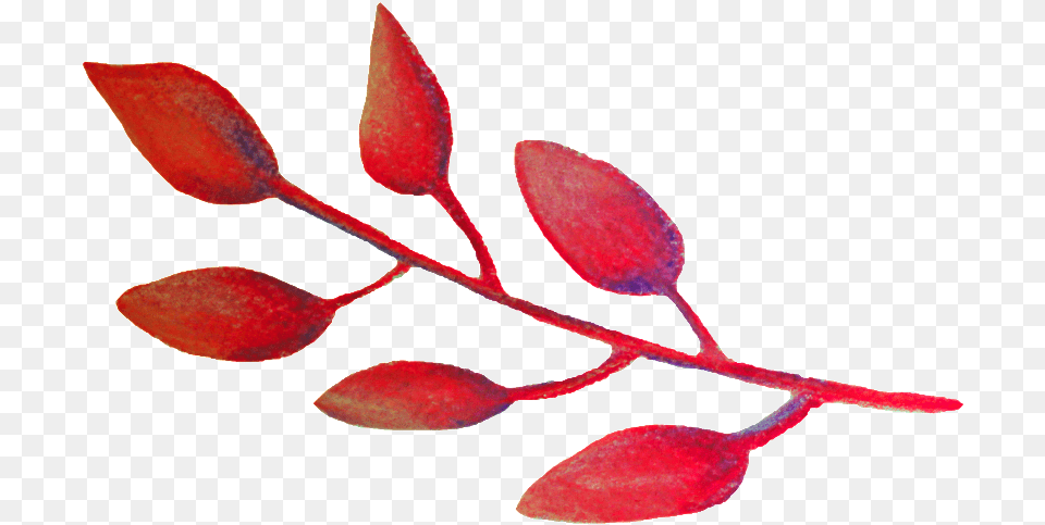 This Backgrounds Is Watercolor Fruit Decorative Watercolor Painting, Bud, Flower, Leaf, Petal Free Transparent Png