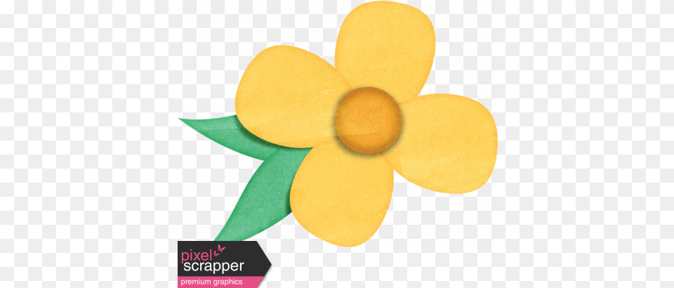 This Beautiful Life Yellow Flower 2 Graphic By Jessica Dunn Artificial Flower, Daisy, Plant, Daffodil, Petal Png