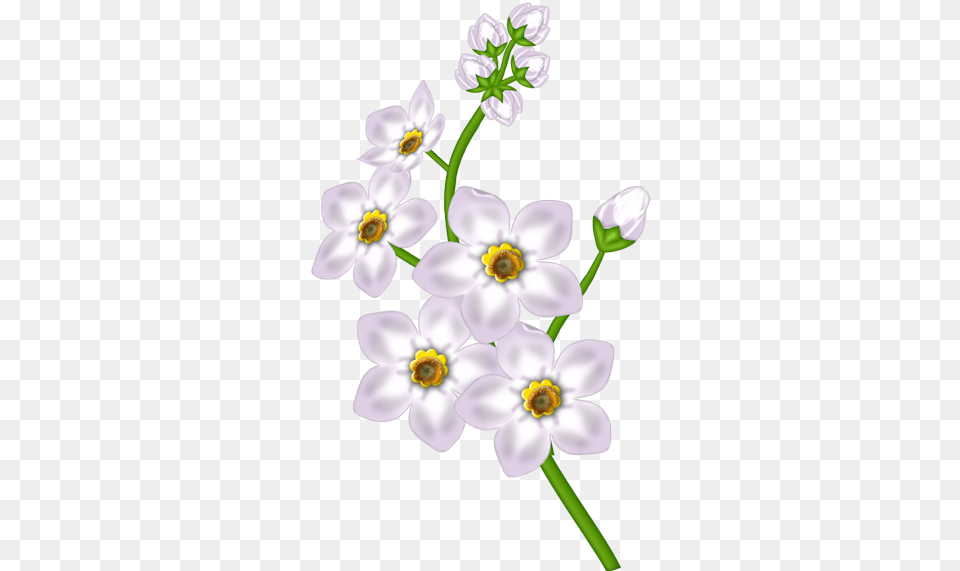 This Clip Art, Anemone, Anther, Flower, Geranium Free Png Download