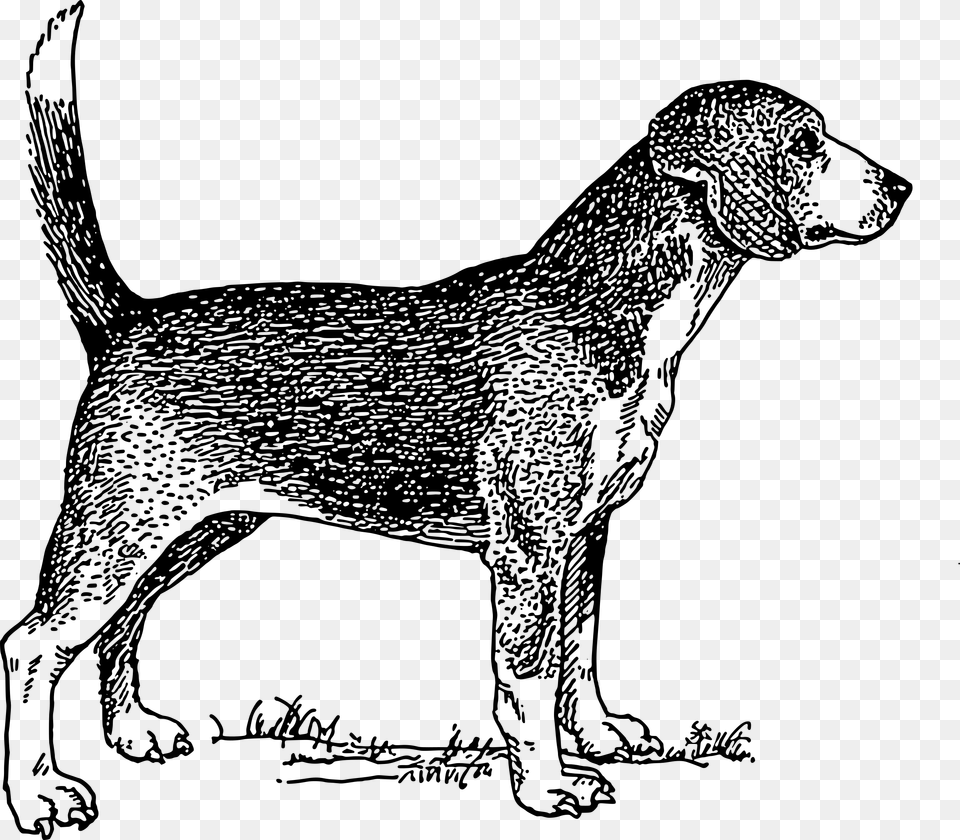 This Clipart Design Of Beagle Dog, Gray Png