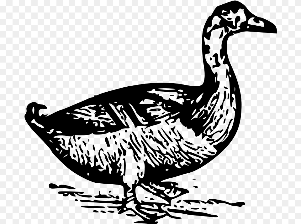 This Clipart Design Of Duck Clipart, Gray Png