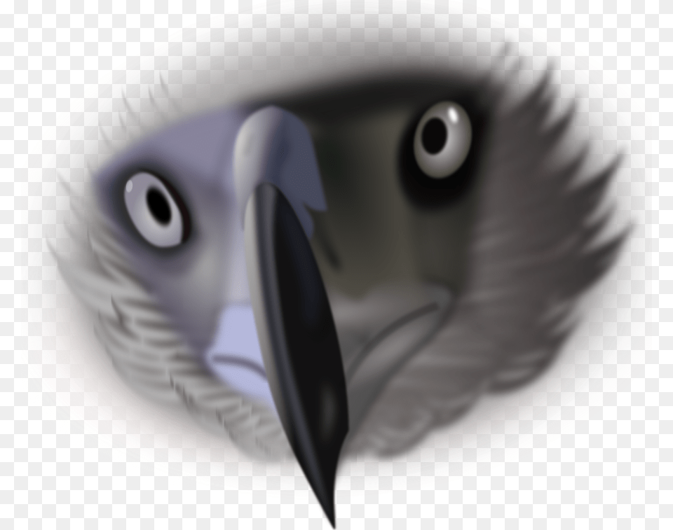 This Clipart Design Of Eagle Face Clipart, Animal, Beak, Bird, Vulture Free Png Download