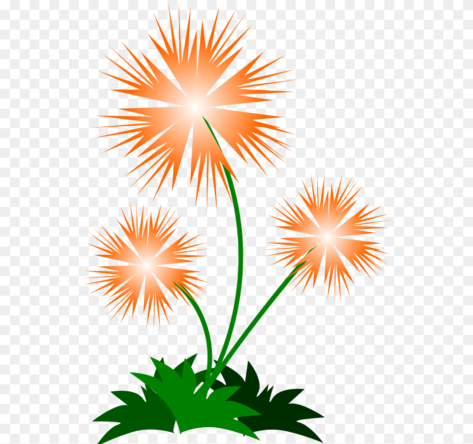 This Clipart Design Of Flower Clipart, Fireworks, Plant, Person Free Png Download