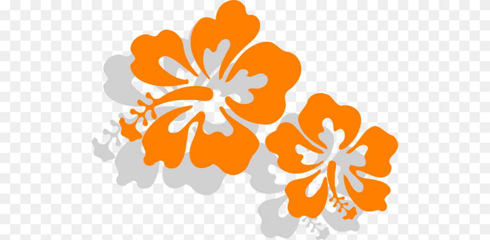 This Clipart Design Of Hibiscus Clipart Has Hibiscus, Flower, Plant Png