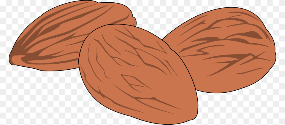 This Clipart Design Of Nut 02 Clipart Has, Almond, Food, Grain, Produce Free Png