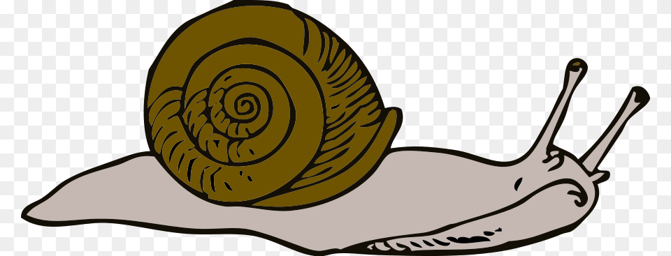 This Clipart Design Of Snail Clipart, Animal, Invertebrate, Fish, Sea Life Free Transparent Png