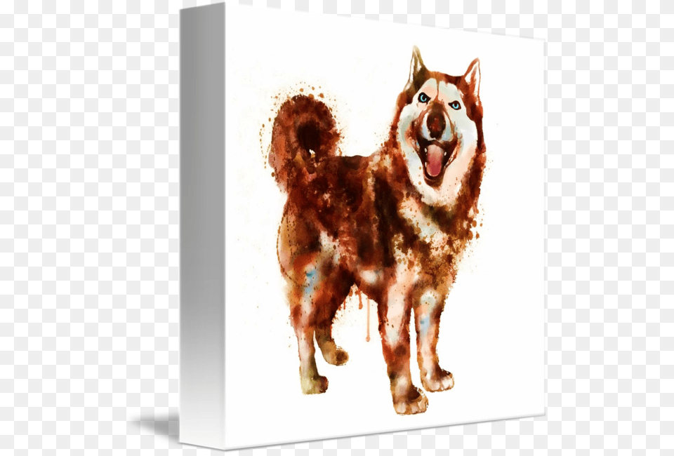 This Cute Brown Pet Melts Any Heart When You Look Into, Animal, Canine, Dog, Husky Free Png
