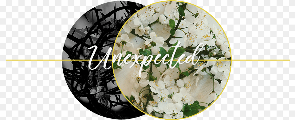 This Easter Could Be Your Unexpected Beginning Easter, Art, Plant, Petal, Graphics Free Transparent Png