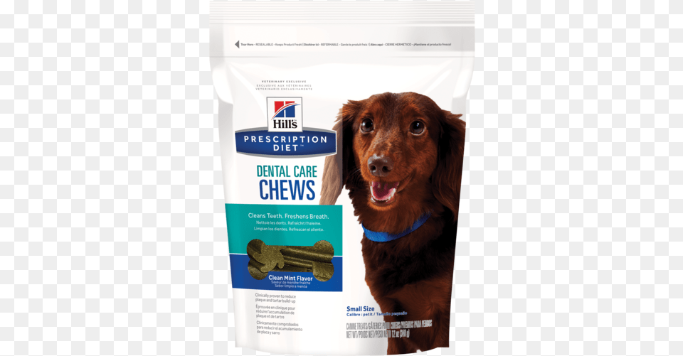 This Entry Was Posted In Hills Prescription Dental Care Chews, Animal, Canine, Dog, Mammal Png