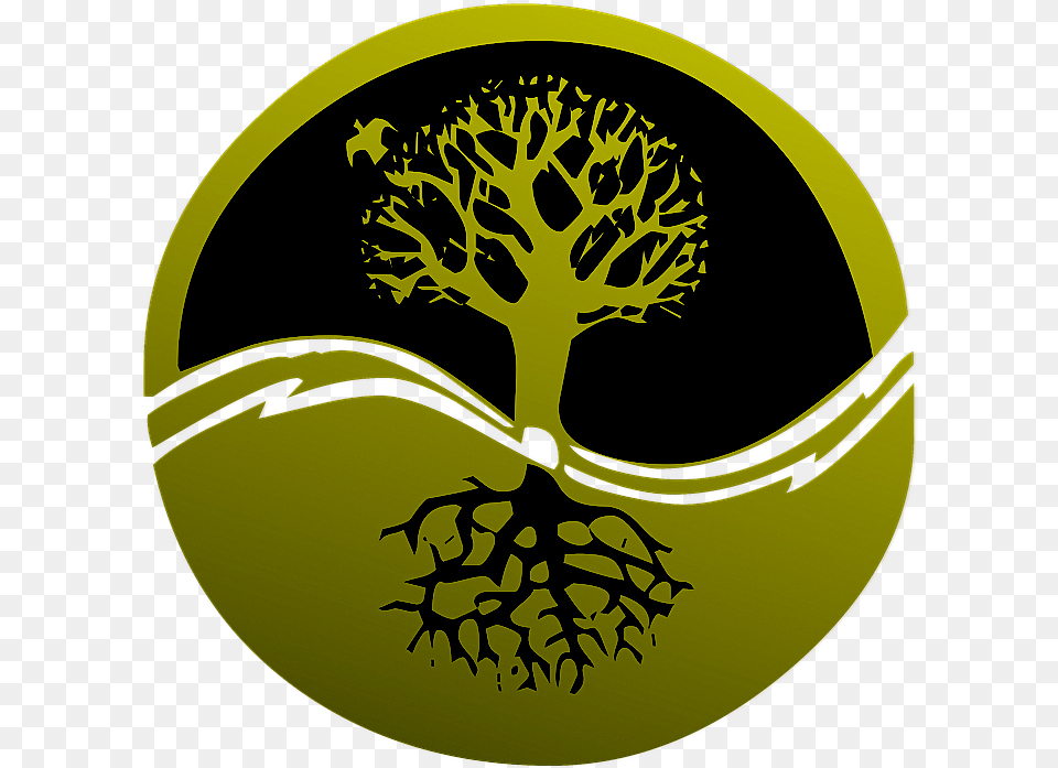 This Event Is Sold Out Discipleship Matters, Moss, Plant, Leaf Png Image