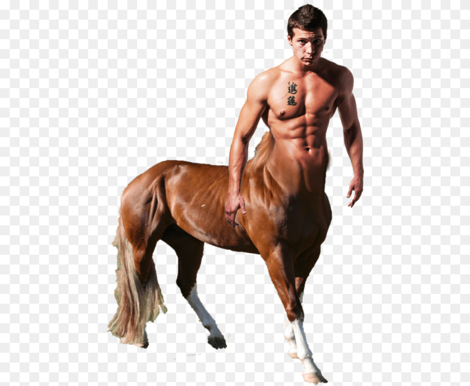 This File Is About Buff Centaurs, Person, Back, Body Part, Man Png