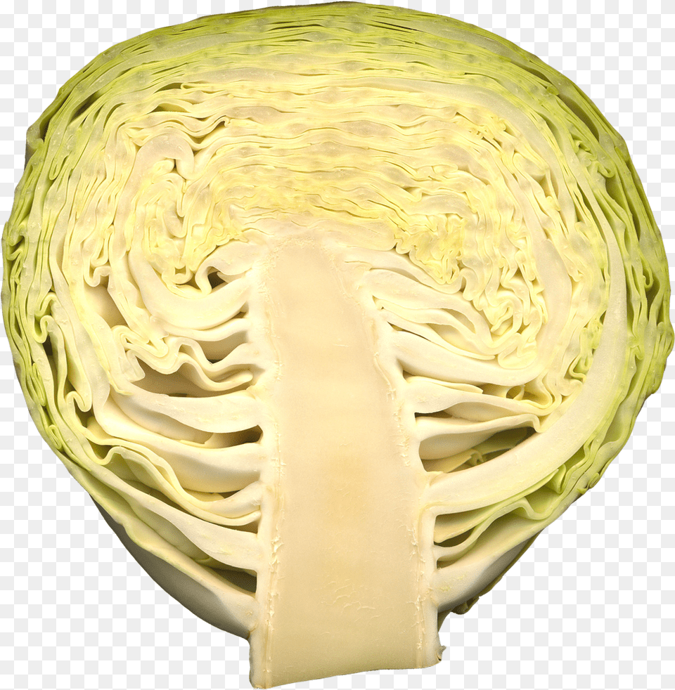 This File Is About Vegetables Cabbage Circle, Food, Leafy Green Vegetable, Plant, Produce Free Png Download