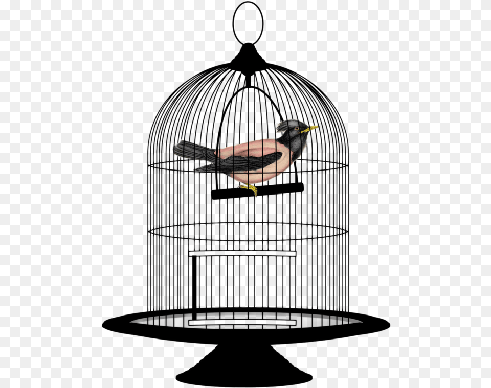 This File Is About Wires Clipart Cage Mesh Bird In A Cage, Animal, Finch Free Transparent Png
