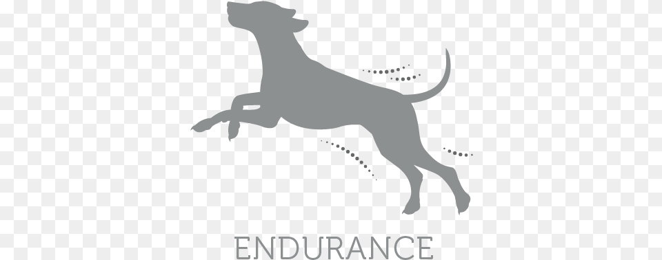 This Formula Engineered By Specialists Contains A Dog Catches Something, Stencil, Person, Animal, Canine Png Image