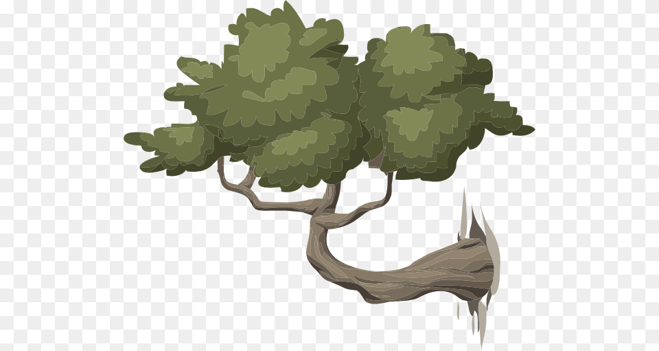 This Free Clipart Design Of Mountain Bonsai Clipart Cafepress Squirrels Samsung Galaxy S8 Plus Case, Plant, Tree, Vegetation, Oak Png Image