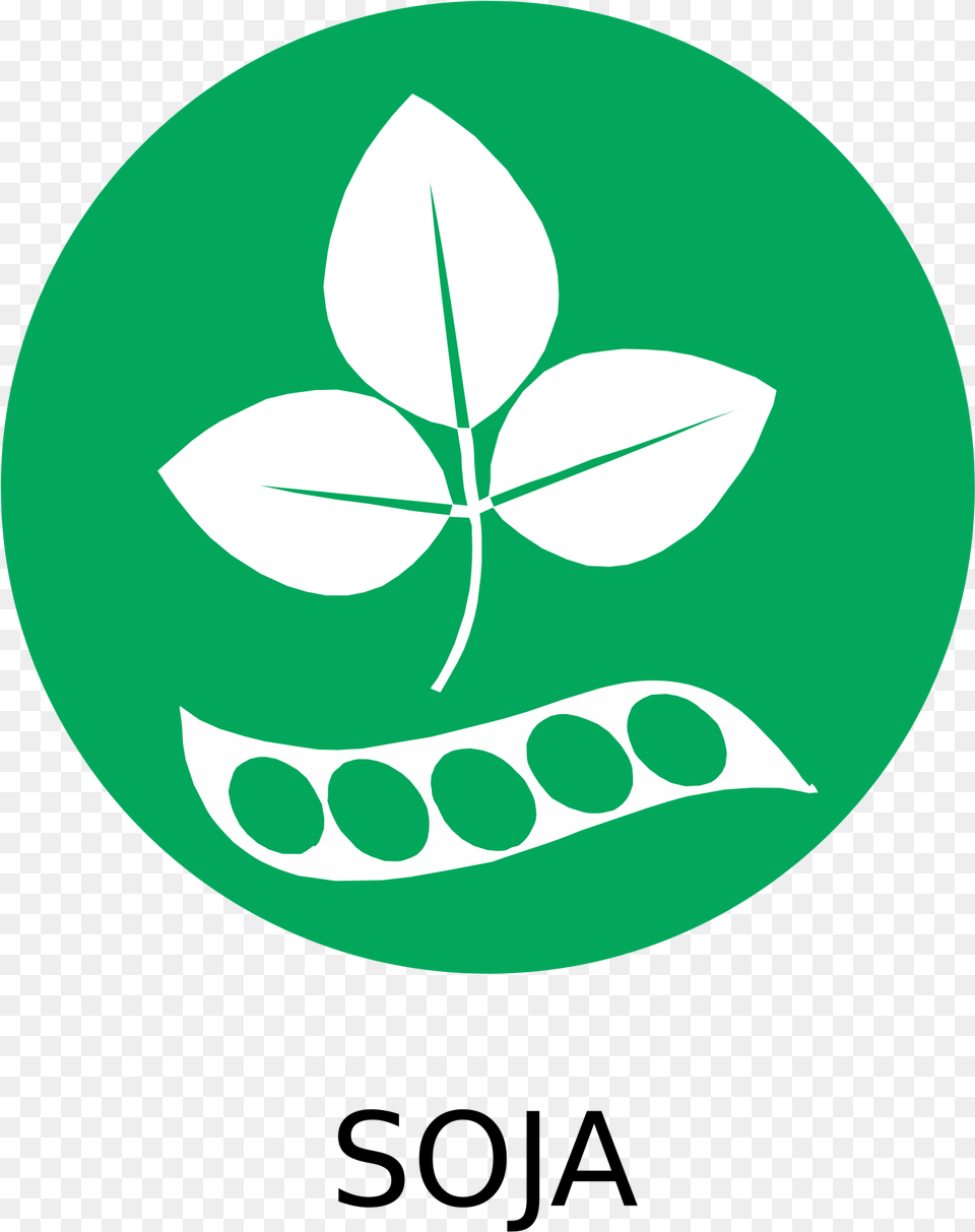This Icons Design Of Alrgeno Sojasoy, Plant, Leaf, Astronomy, Outdoors Free Transparent Png