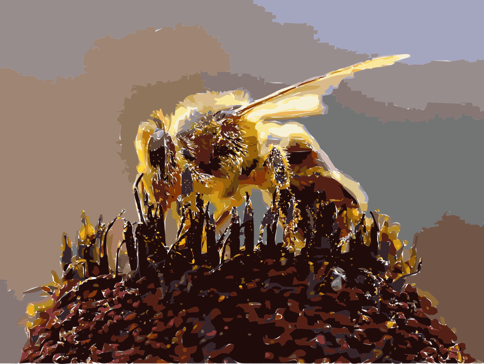 This Icons Design Of Bees Collecting Pollen, Animal, Apidae, Bee, Honey Bee Free Transparent Png