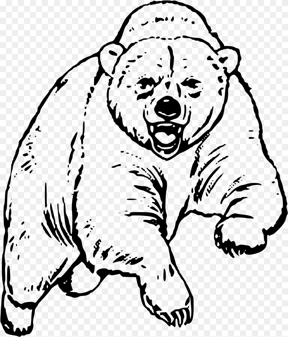 This Free Icons Design Of Big Bear, Gray Png