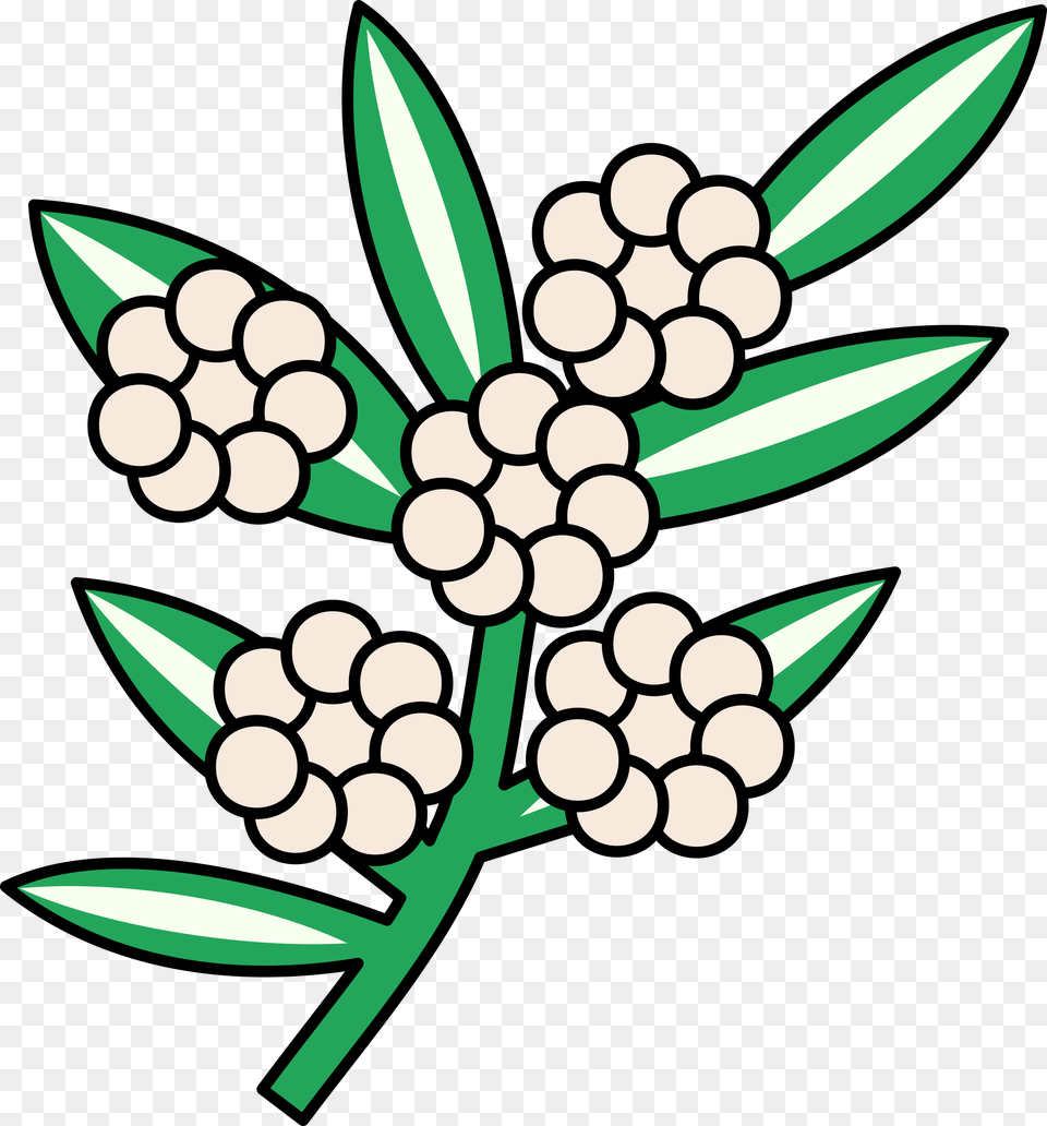 This Icons Design Of Calophyllum Flowers, Pattern, Plant, Herbs, Herbal Free Transparent Png