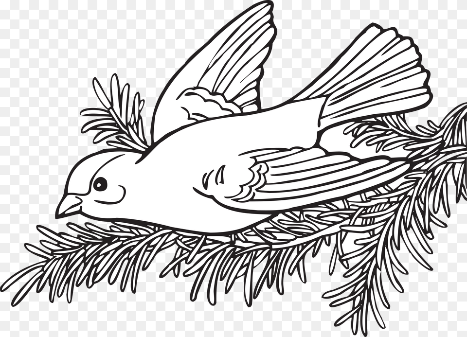 This Free Icons Design Of Coloring Book Willow, Animal, Bird, Finch, Fish Png Image