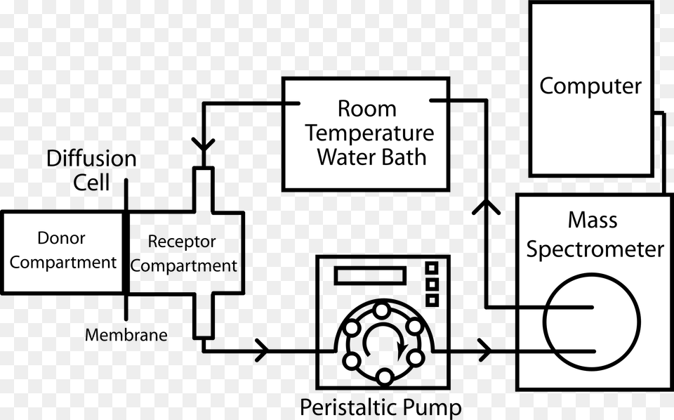 This Icons Design Of Diffusion And Permeability, Diagram, Uml Diagram Free Png Download