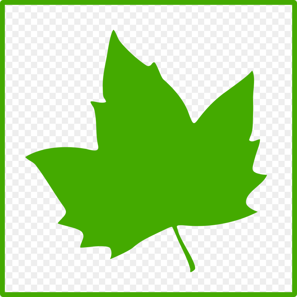 This Icons Design Of Eco Green Leaf Icon, Plant, Maple Leaf, Person, Tree Free Transparent Png