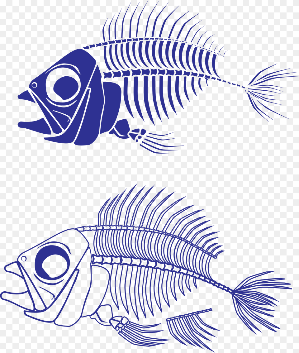 This Free Icons Design Of Fish Skeleton, Aquatic, Water, Animal, Sea Life Png Image