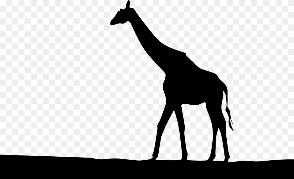 This Free Icons Design Of Giraffe Landscape Silhouette, Gray Png Image