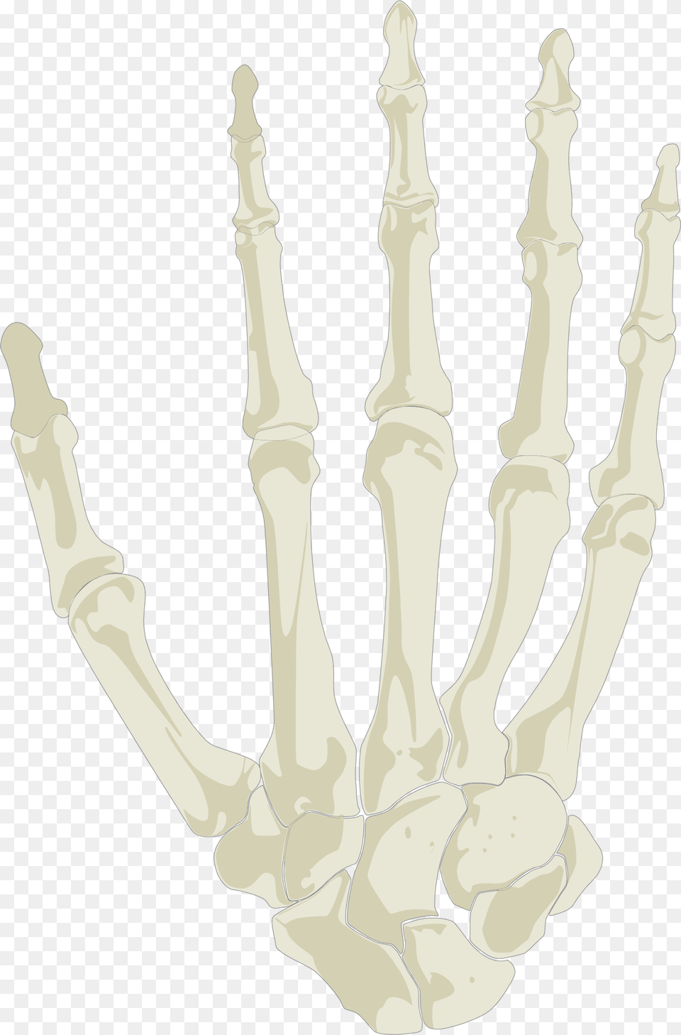 This Icons Design Of Hand Skeleton, Chess, Game Free Png