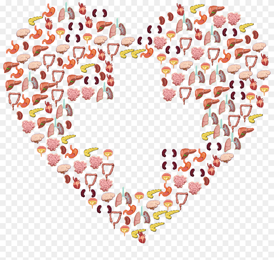 This Free Icons Design Of Human Organs First Aid, Heart, Pattern, Art, Plant Png
