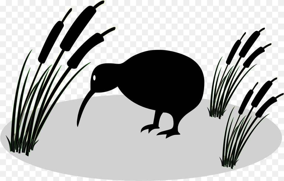 This Free Icons Design Of Kiwi And Reed, Animal, Bird, Kiwi Bird Png