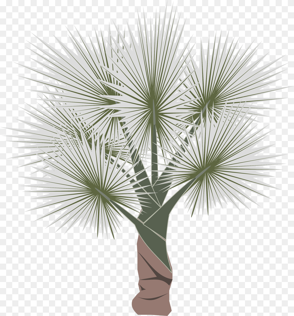 This Icons Design Of Palm, Palm Tree, Plant, Tree Free Png