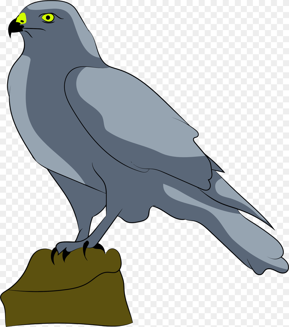 This Free Icons Design Of Perched Falcon, Animal, Bird, Kite Bird, Hawk Png Image