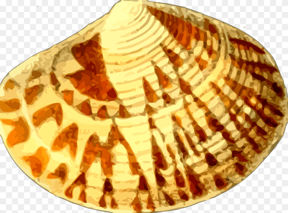 This Icons Design Of Sea Shell, Animal, Clam, Food, Invertebrate Free Png