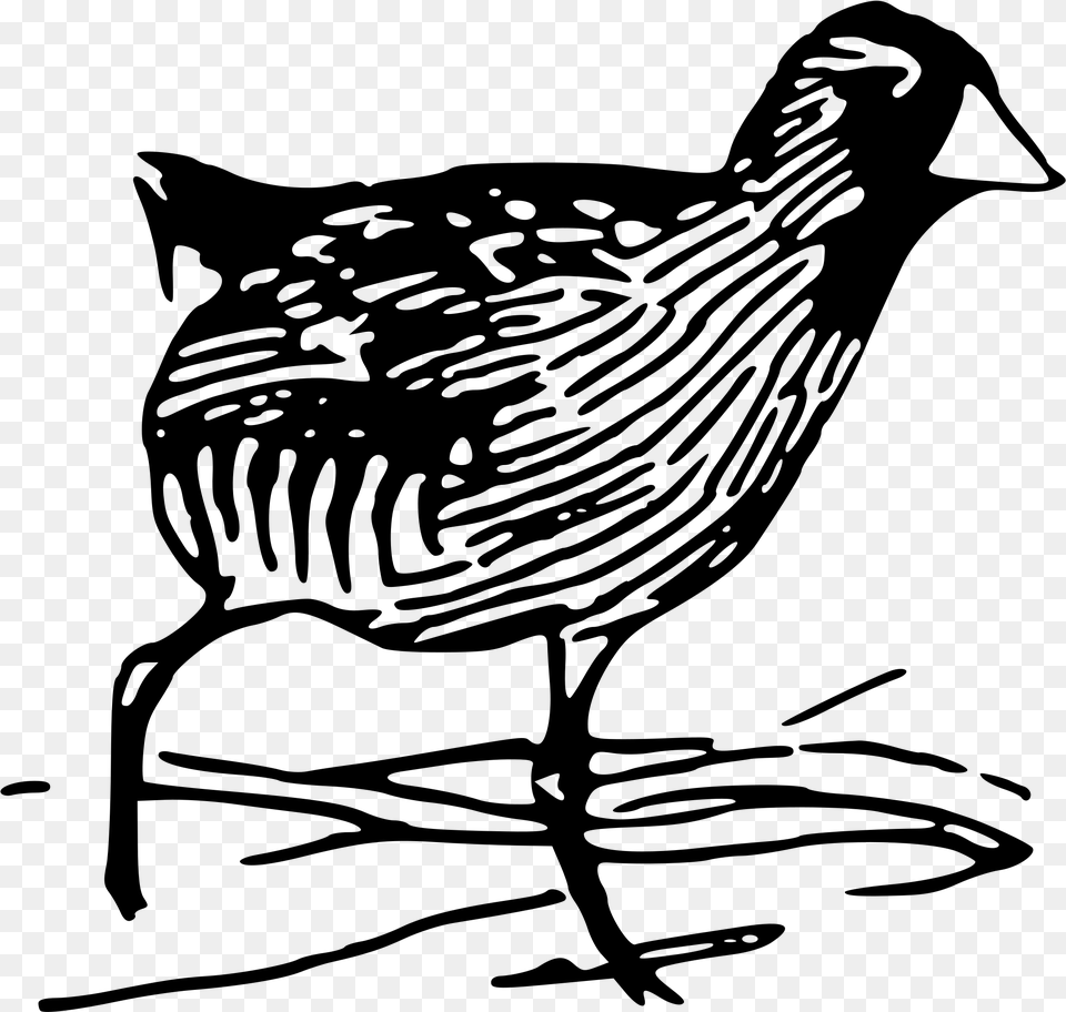 This Icons Design Of Sora Rail, Gray Free Png Download