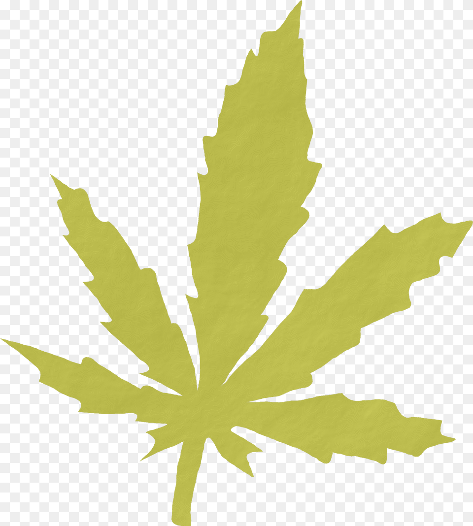 This Icons Design Of The Leaf Cannabis Leaf Bmp, Plant, Maple Leaf, Adult, Male Free Transparent Png