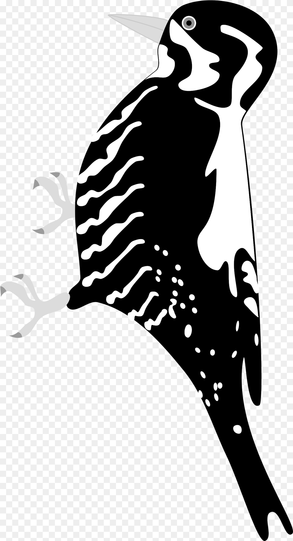 This Icons Design Of Three Toed Woodpecker Full Woodpecker On Tree, Stencil, Baby, Person Free Png Download