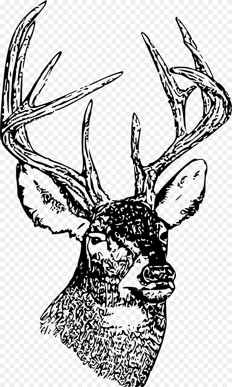 This Icons Design Of Whitetail Deer Head, Gray Free Transparent Png