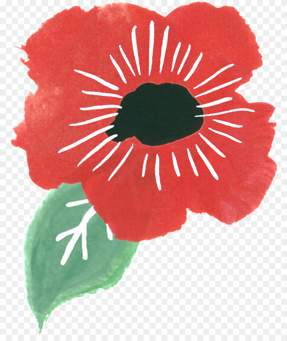 This Graphics Is Black Sun Flower Cartoon Transparent Portable Network Graphics, Petal, Plant, Anemone, Person Free Png