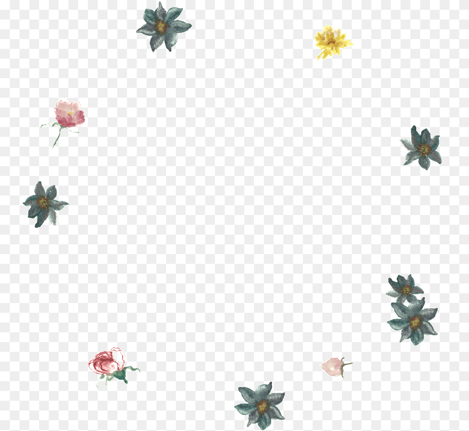 This Graphics Is Black Yellow Flower Leaf Floral Design, Plant, Petal, Accessories, Rose Free Transparent Png