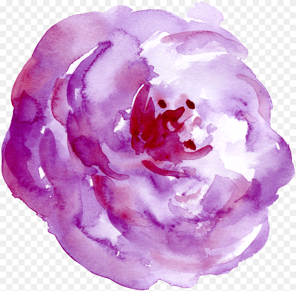 This Graphics Is Cloud Purple Flower Cartoon Transparent Watercolor Paint, Petal, Plant, Rose Png Image