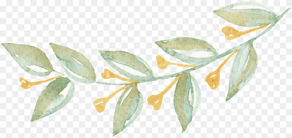This Graphics Is Elegant Leaf Decorative Portable Network Graphics, Herbal, Herbs, Plant, Accessories Free Transparent Png