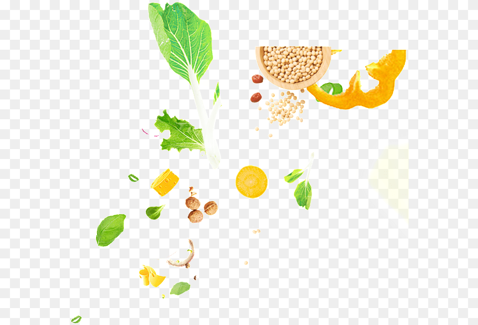 This Graphics Is Fruit And Vegetable Food Vegetable, Herbal, Herbs, Leaf, Plant Free Transparent Png