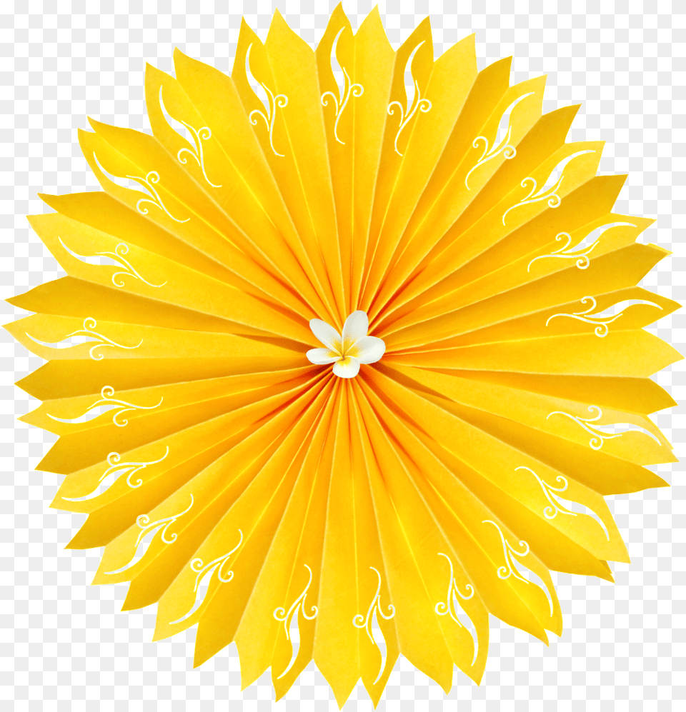 This Graphics Is Golden Folding Fan Flower Transparent Yellow Flower White Background, Paper, Daisy, Plant, Petal Png