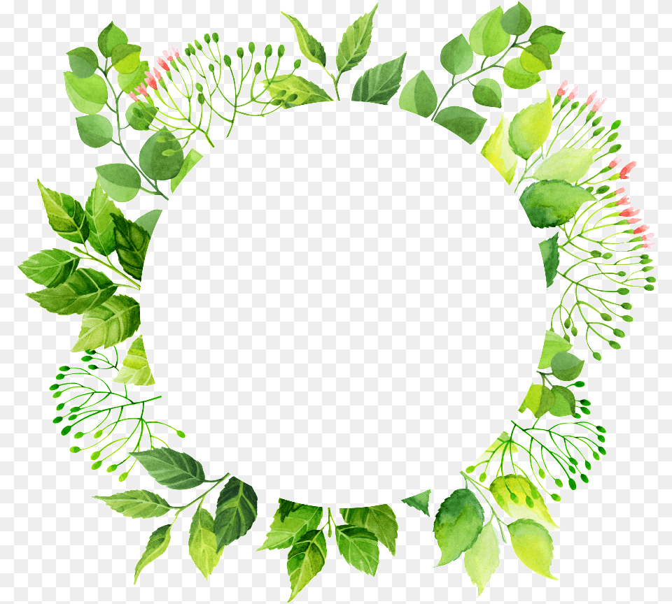 This Graphics Is Green Circle Frame Green Flower Frame Circle Green, Leaf, Plant, Wreath, Oval Free Transparent Png