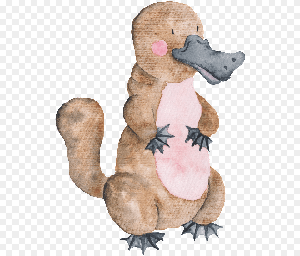 This Graphics Is Hand Drawn Platypus Transparent Animal Cartoon Australian Animals Clipart, Baby, Person, Bird, Duck Png Image