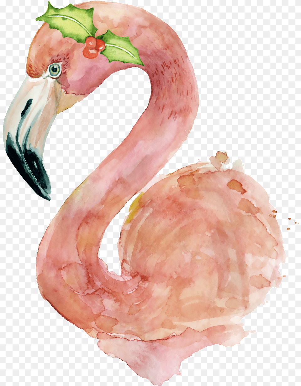 This Graphics Is Hand Painted A Flamingo Transparent Flamingo Watercolor, Animal, Beak, Bird Free Png Download